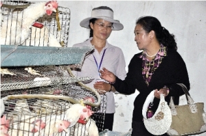 迪庆州人大常委会副主任杨凤喜（右）和开发区管委会副主任和寿芝（左）查看蛋鸡舍养殖情况