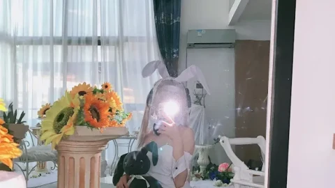 网友推荐视频在线播放高清版免费