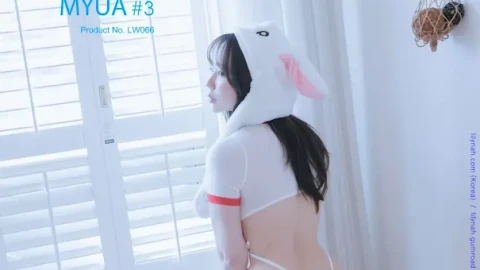 全网精品影集免费播放网站